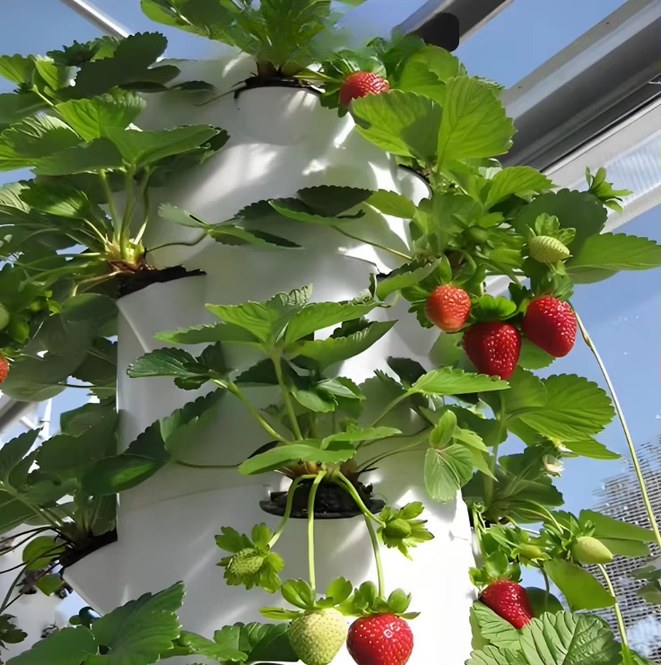 Système mural hydroponique mod - Urban Farming Garden avis et prix