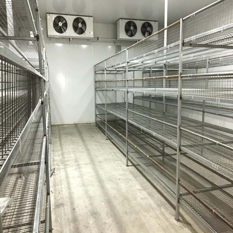 Ferme hydroponique en conteneu - Urban Farming Projects avis et prix