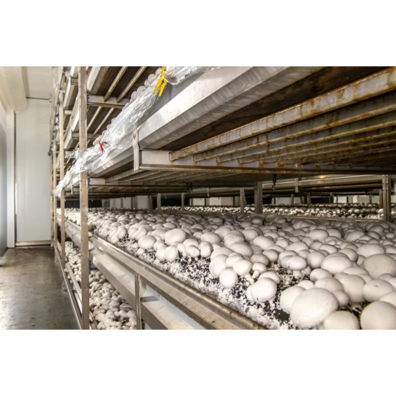 Ferme hydroponique en conteneu - Urban Farming Projects avis et prix