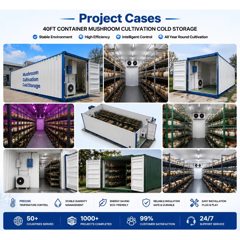 Ferme hydroponique en conteneu - Urban Farming Projects avis et prix