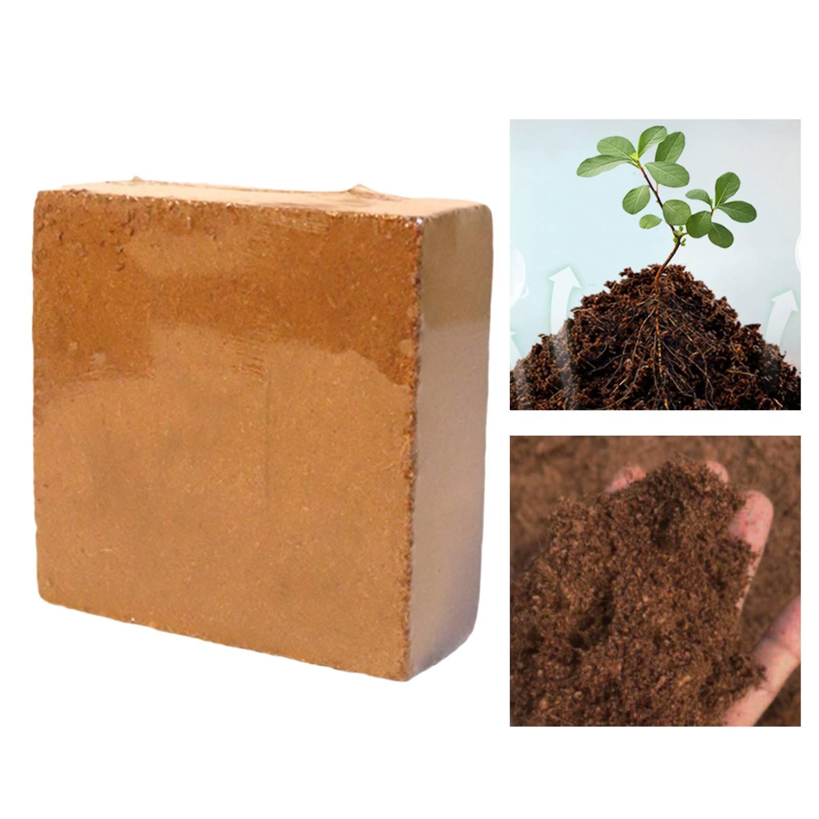 Brique de coco compressée hydr - Coco Coir Block avis et prix