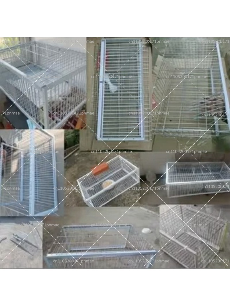 Piège à oiseaux multifonctionn - Urban Farming Garden avis et prix