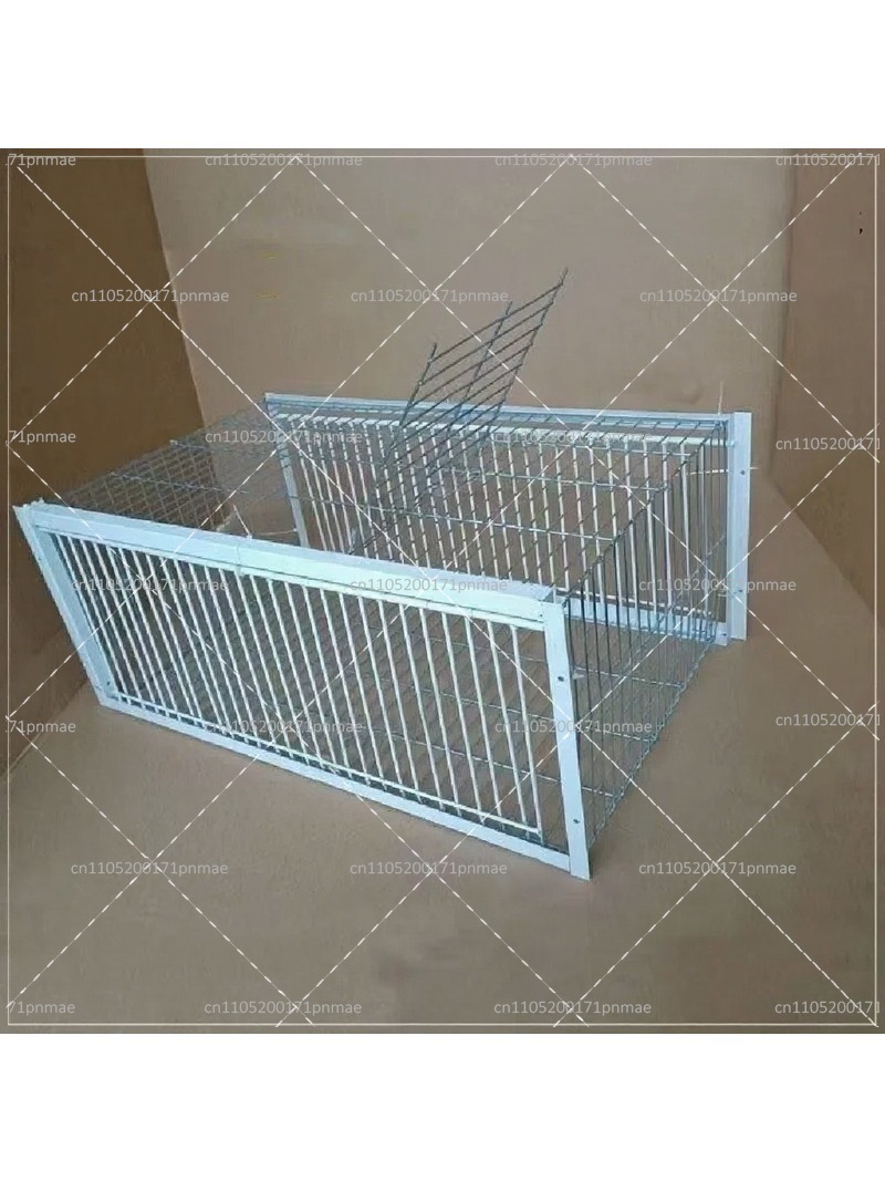 Piège à oiseaux multifonctionn - Urban Farming Garden avis et prix